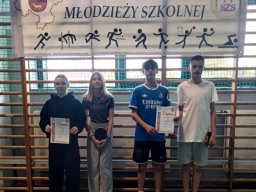 Tenis drużynowy